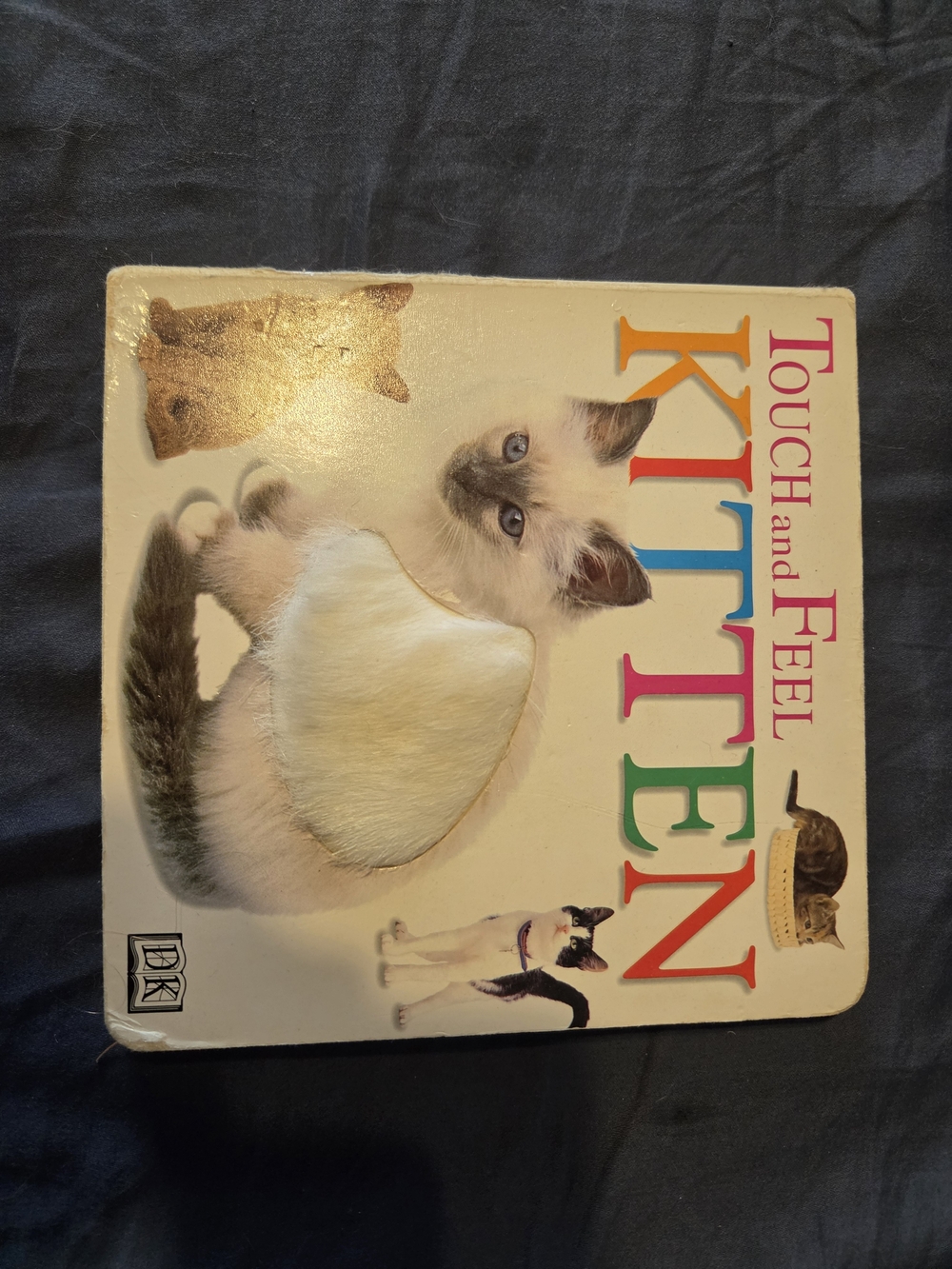 Touch and Feel Kitten Board Book - Multicolor